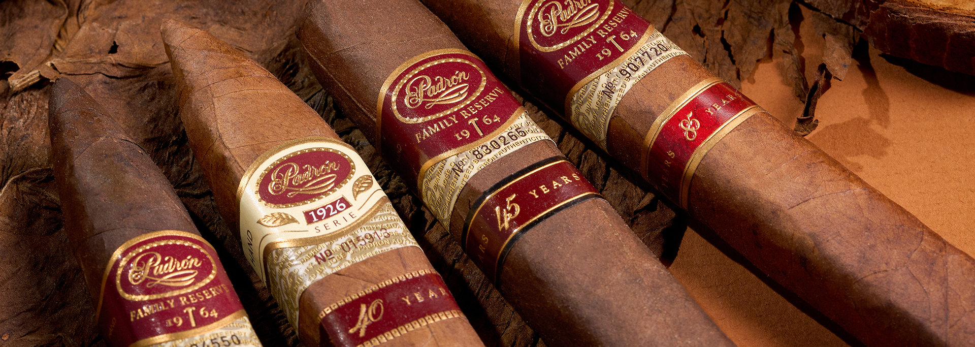 Padron cigars on colored background