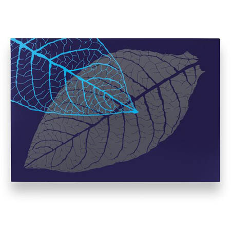Zino Blue leaf humidor