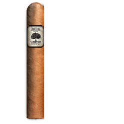 charter oak Connecticut shade cigar