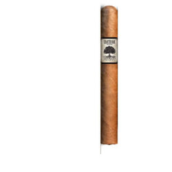 charter oak Connecticut shade cigar