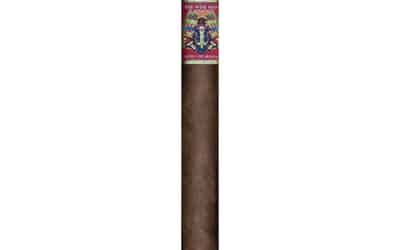 Foundation Wise Man maduro cigar