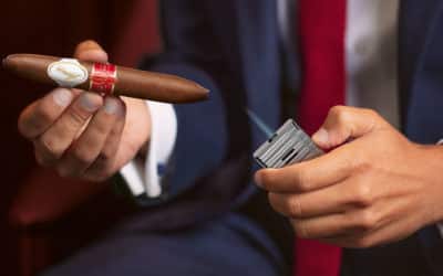 Discover the World of Davidoff Cigars