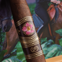 LFD La Flor Dominicana Cigars 30 Years Cigar Image Close Up