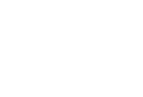 Padron Cigars Logo 