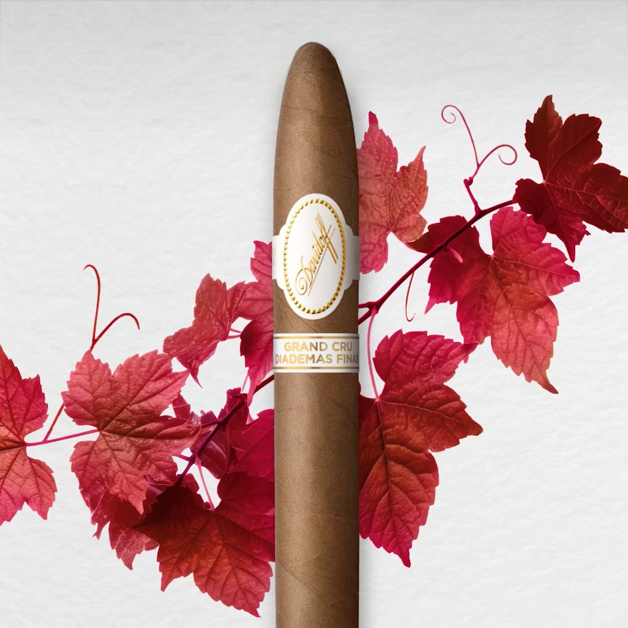 Davidoff Grand Cru Diademas Final Limited Edition Cigars