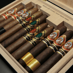 God of Fire KKP Never Back Down 10-Cigar Assortment - Limited Edition Cigars