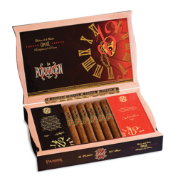 Fuente Fuente Opus X Forbidden X 13 Pasion D’Amor cigar showcasing its elegant band and Rosado wrapper.